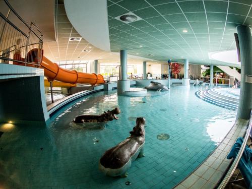 Hungarospa Thermal hotel szauna