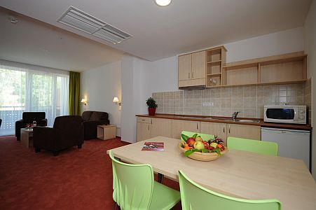 Hotel Béke**** hajdúszoboszlói szálloda akciós konyhás apartmanja